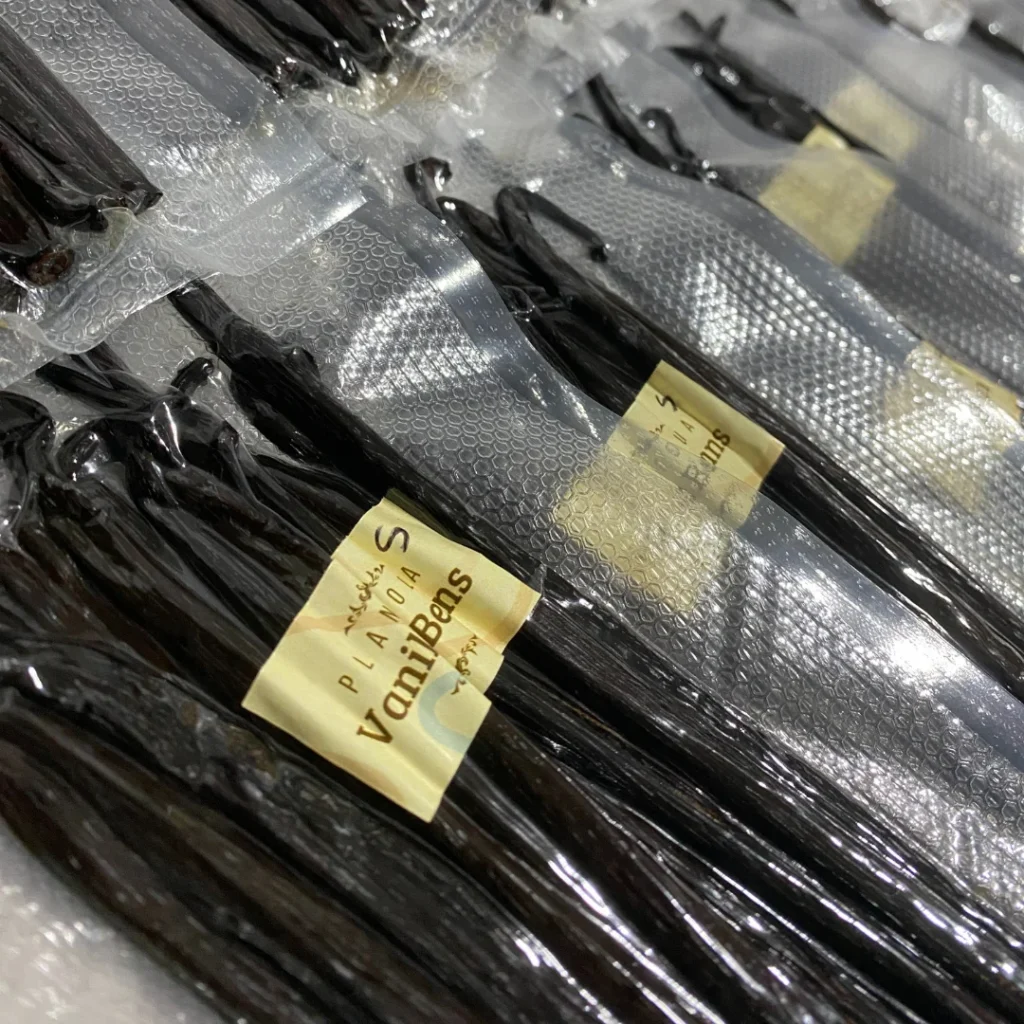Vanilla Sample