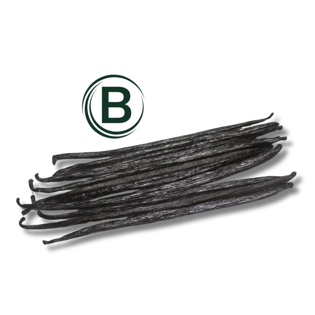 Planifolia B