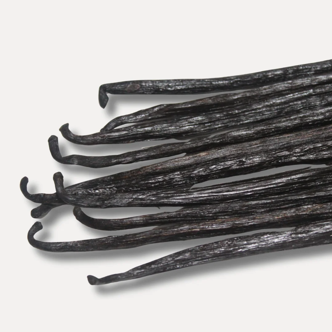 Sanusa Vanilla